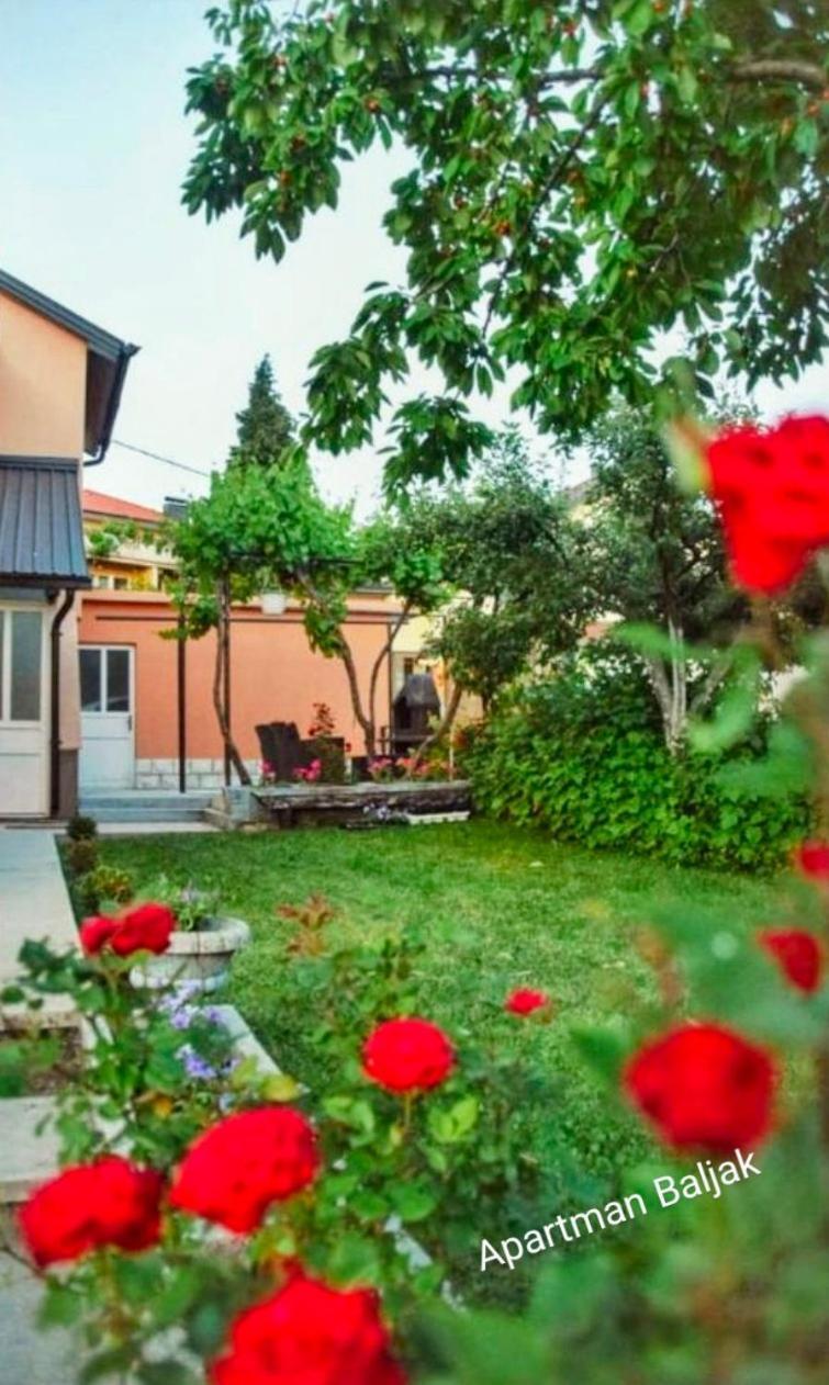 Apartman Baljak 利夫诺 外观 照片