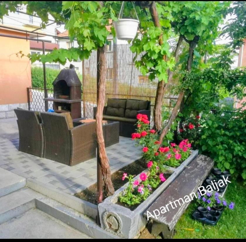 Apartman Baljak 利夫诺 外观 照片