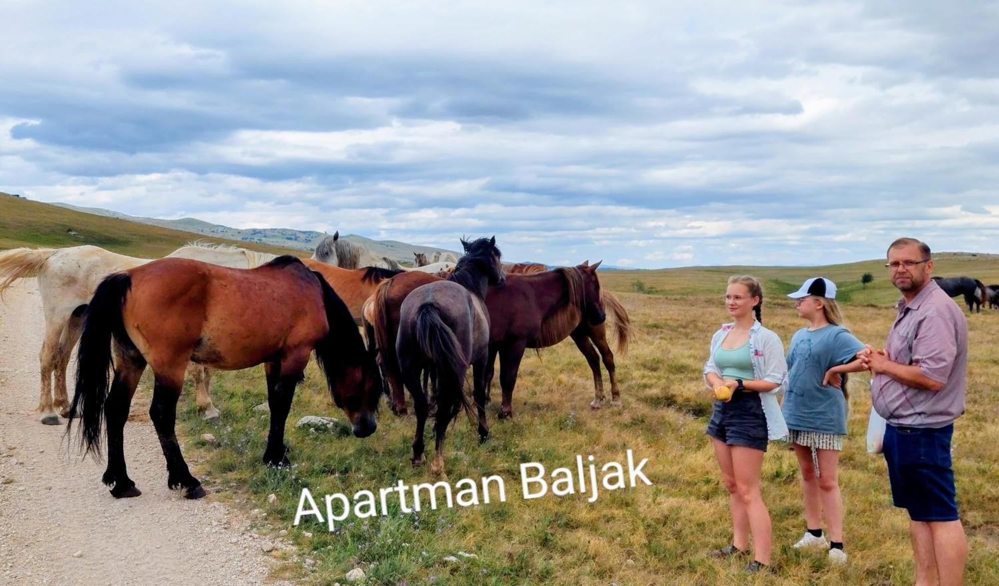 Apartman Baljak 利夫诺 外观 照片